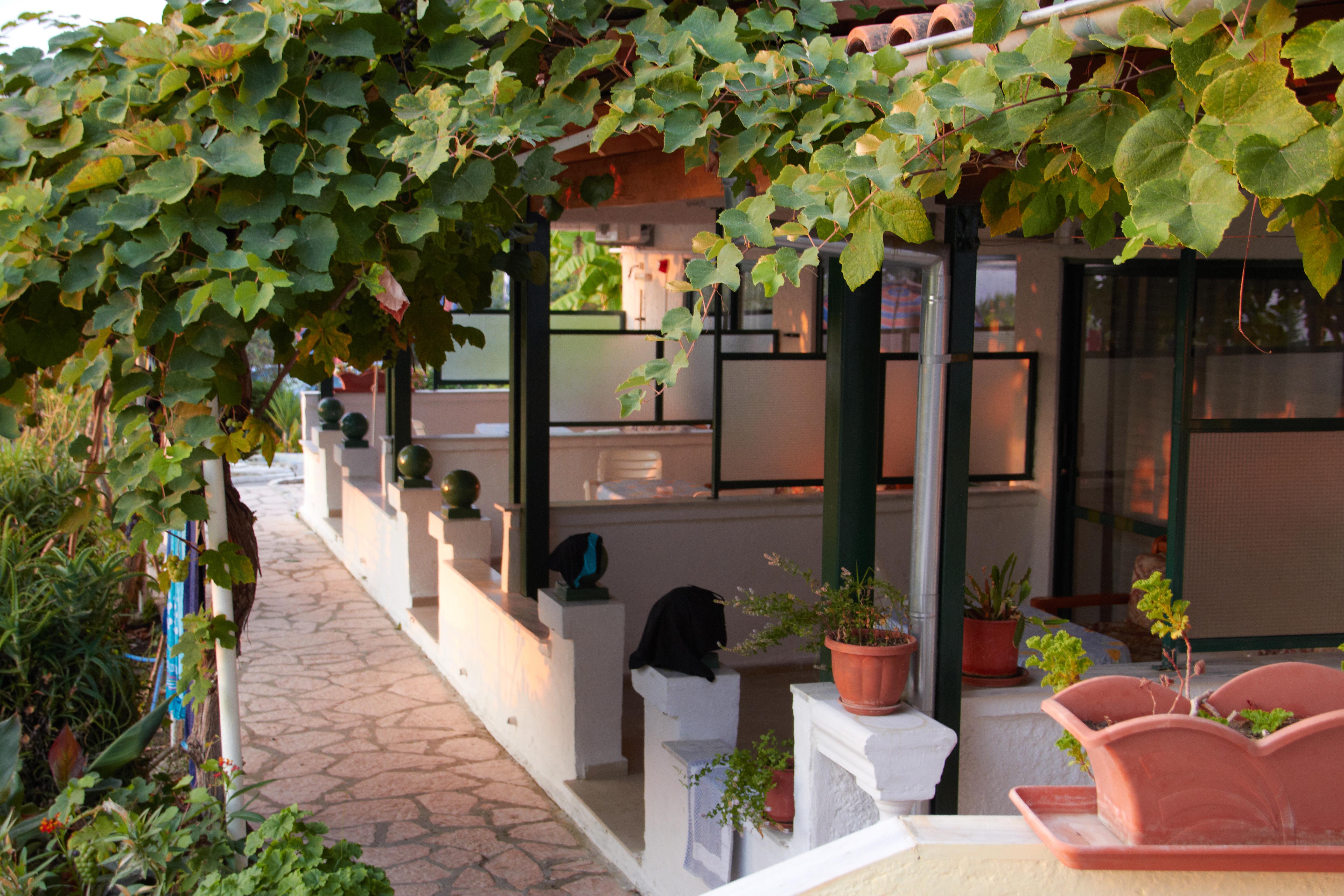 Corfu Andromaches Holiday Apartments 아킬레이온 외부 사진